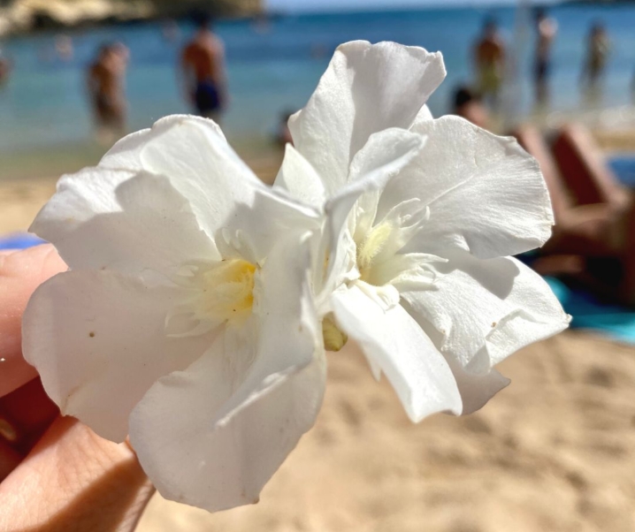 Rimedi naturali per proteggere i capelli dal sole