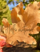 Come superare un colloquio di lavoro