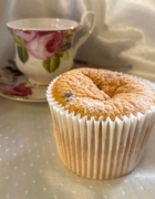 Vani Sarca, la serie. Cosa leggere sotto l’ombrellone